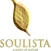 Soulista_Final_4